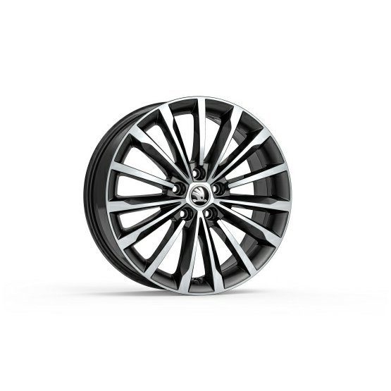 KODIAQ_ALUDISK4.jpg