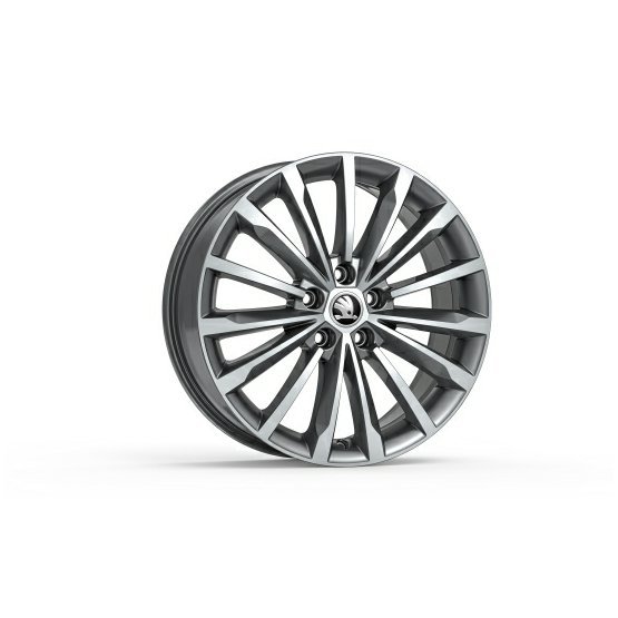 KODIAQ_ALUDISK5.jpg